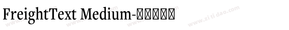 FreightText Medium字体转换